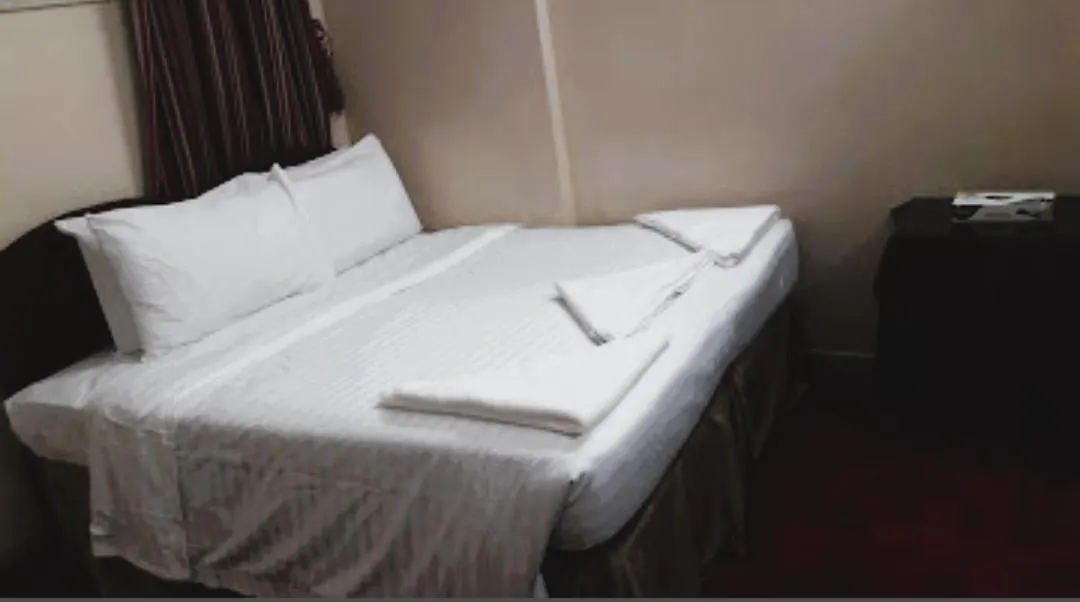 Al Masiri Palace Hotel فندق قصر المصيري